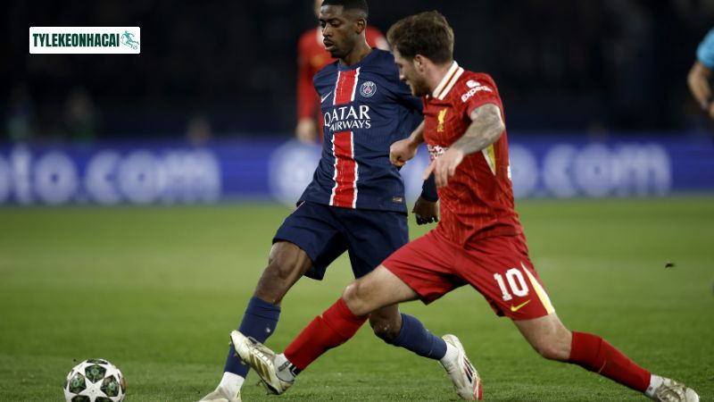 Các đội bóng giàu thể lực cùng nhau tranh tài Các đội bóng giàu thể lực cùng nhau tranh tài