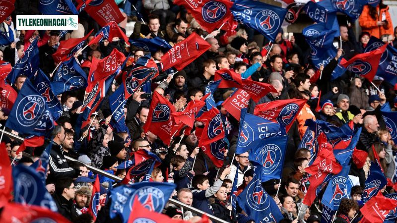 Khán giả cuồng nhiệt Khán giả cuồng nhiệt