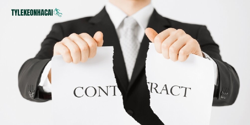 Chi tiết các điều khoản trong chính sách