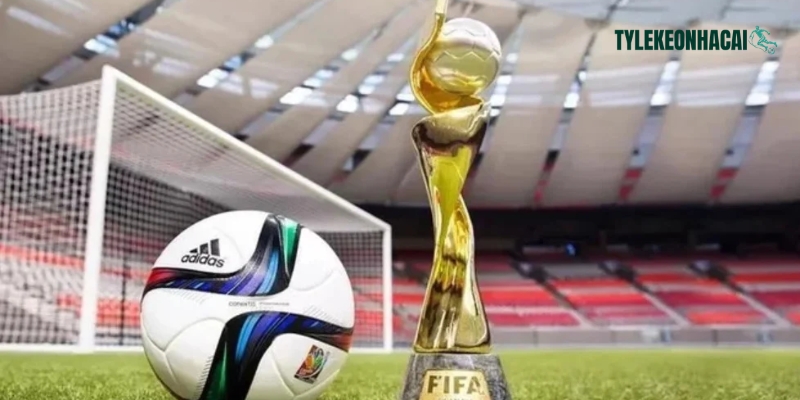 Đông đảo người dùng yêu thích đồng hàng cùng hệ thống