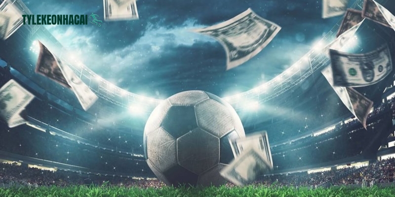 Lịch đấu các giải đấu lớn nhỏ đều được cập nhật đầy đủ